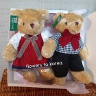 Teddy Bear 20~70cm