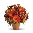 Autumn Seasonal Bouquet
