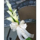 Calla Lily to You