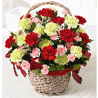 3 color carnations for mother's day