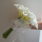 Calla Lily Grace