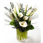 Elegant Calla Lily