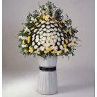 Funeral Spray Chrysanths