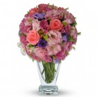 Glace Rose Pinks
