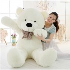 Big Teddy Bear