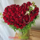 100 Rose Cupid's Arrow 