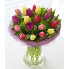 Mixed Tulip Bouquet