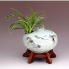 Oriental Orchid in Special Pot