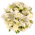 White Lily and Rose Pray for You