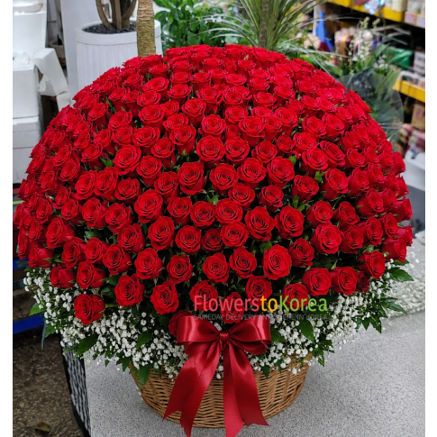 365 Roses for 365 Days of Love 