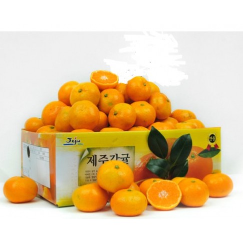 Mandarin Orange Fruits in Gift box